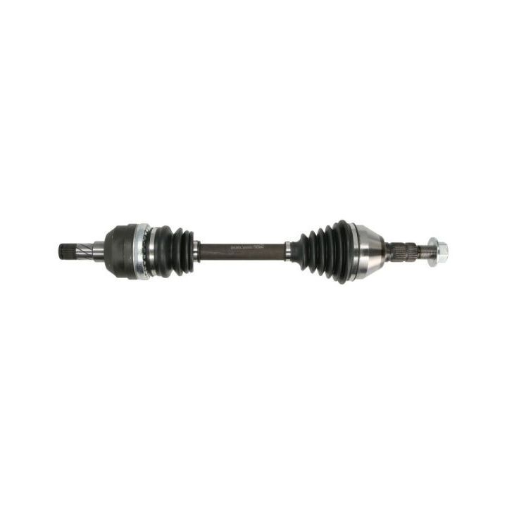 Pusašis PASCAL G2X031PC