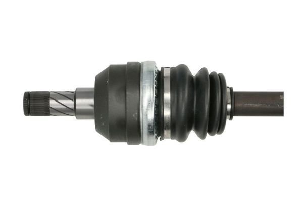 Pusašis PASCAL G2X031PC