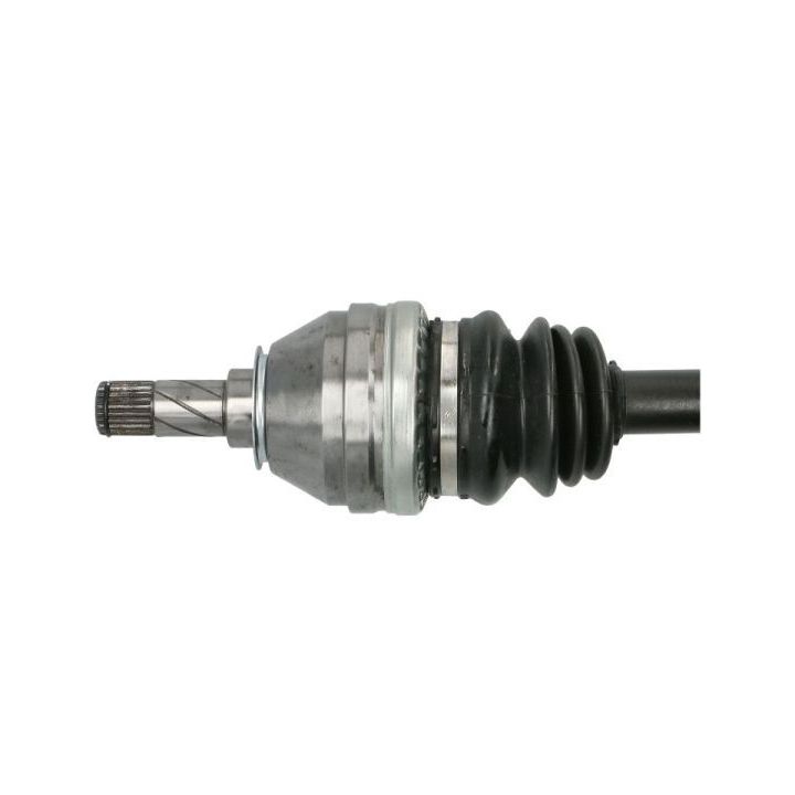 Pusašis PASCAL G2X033PC