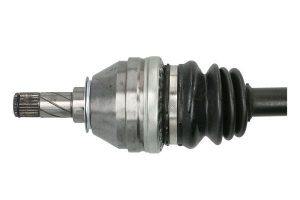 Pusašis PASCAL G2X033PC