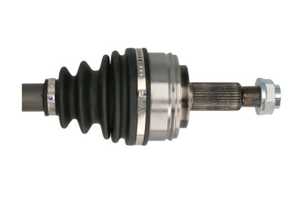 Pusašis PASCAL G2X034PC