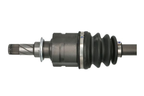 Pusašis PASCAL G2X036PC