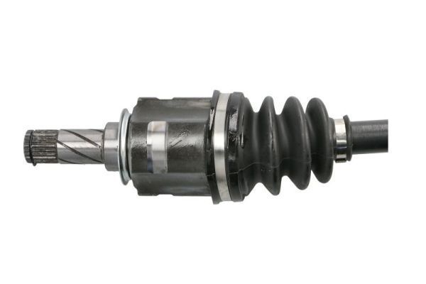 Pusašis PASCAL G2X037PC