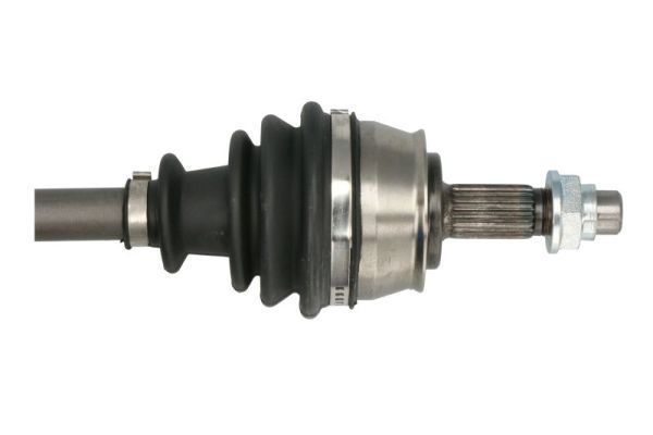Pusašis PASCAL G2X038PC