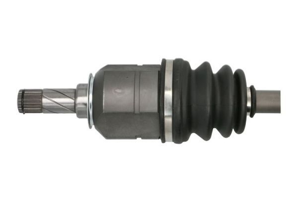 Pusašis PASCAL G2X038PC