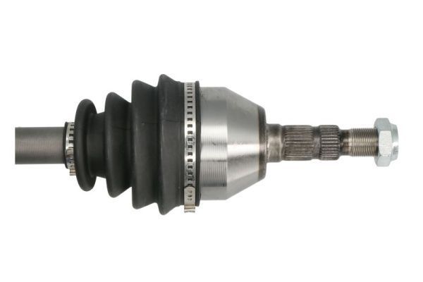 Pusašis PASCAL G2X041PC