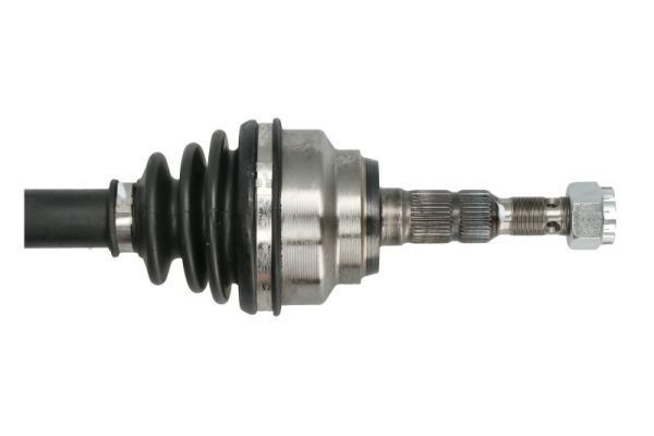 Pusašis PASCAL G2X043PC
