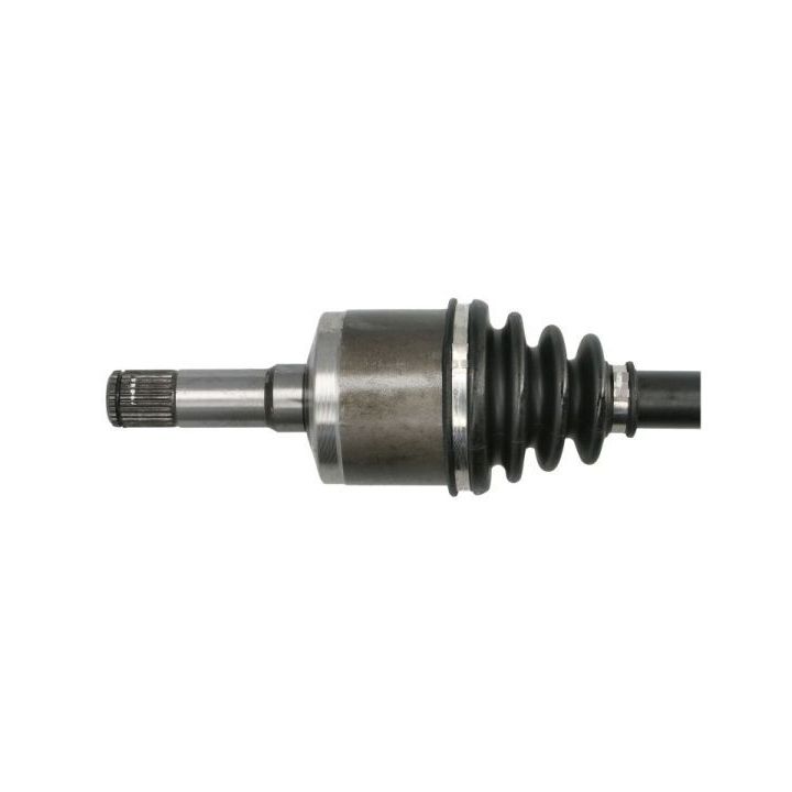 Pusašis PASCAL G2X043PC