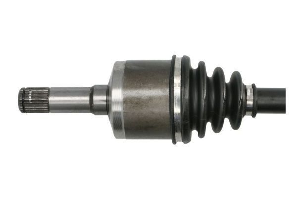 Pusašis PASCAL G2X043PC