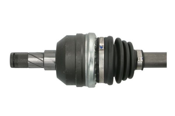Pusašis PASCAL G2X045PC