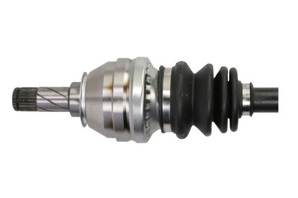 Pusašis PASCAL G2X048PC