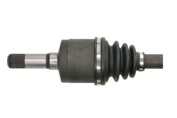 Pusašis PASCAL G2X056PC