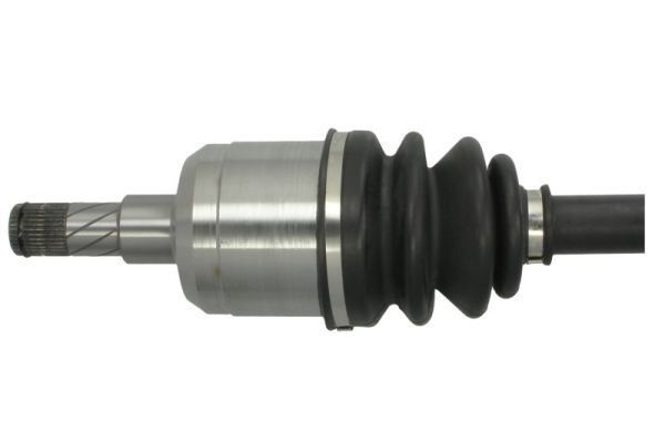 Pusašis PASCAL G2X059PC