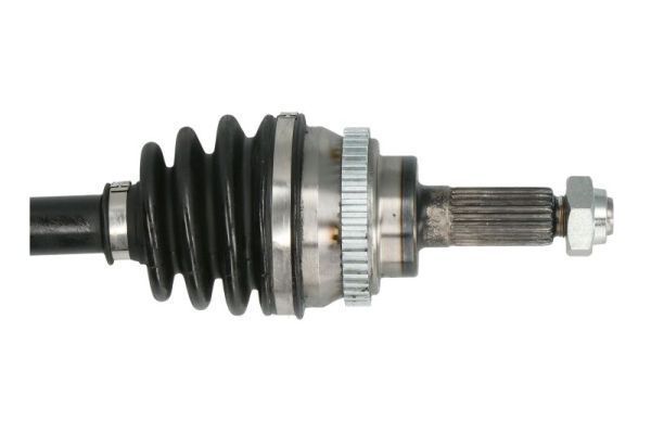 Pusašis PASCAL G2X061PC