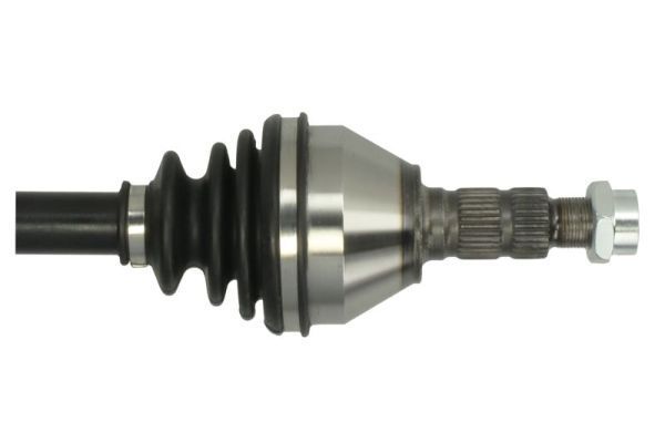 Pusašis PASCAL G2X066PC