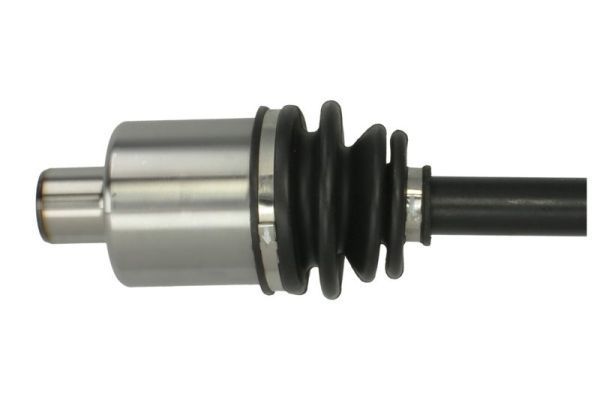 Pusašis PASCAL G2X066PC
