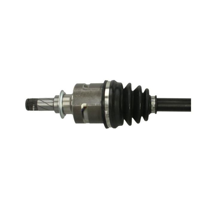 Pusašis PASCAL G2X067PC