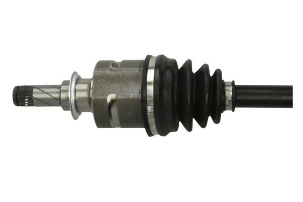 Pusašis PASCAL G2X067PC