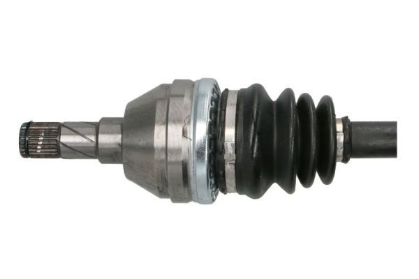 Pusašis PASCAL G2X069PC