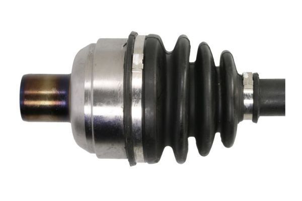 Pusašis PASCAL G2X079PC