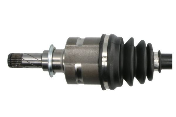 Pusašis PASCAL G2X099PC