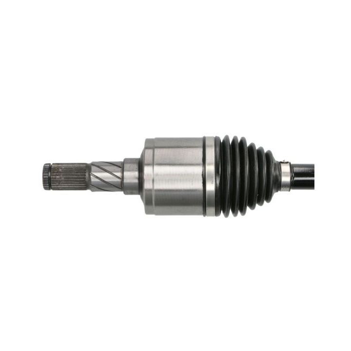 Pusašis PASCAL G2Y004PC