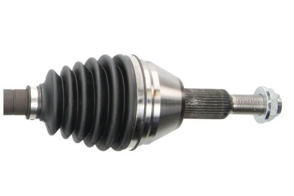 Pusašis PASCAL G2Y008PC