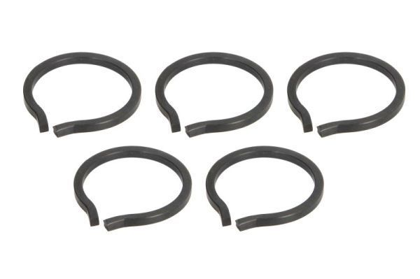 Fiksavimo poveržlė, diferencialo pavaros jungės tvirtinimas PASCAL CIR G1001PC