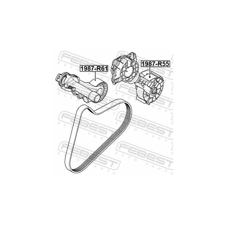 įtempiklio skriemulys, V formos rumbuotas diržas FEBEST 1987-R55