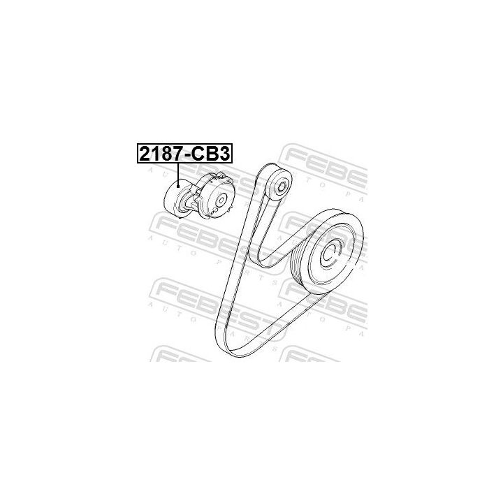 įtempiklio skriemulys, V formos rumbuotas diržas FEBEST 2187-CB3