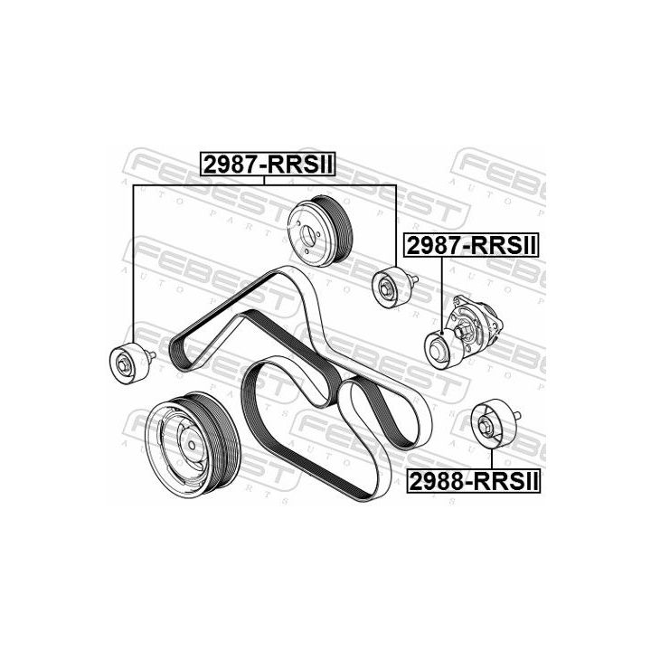 Kreipiantysis skriemulys, V formos rumbuotas diržas FEBEST 2988-RRSII