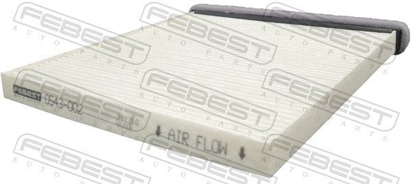 Filtras, salono oras FEBEST 0543-002
