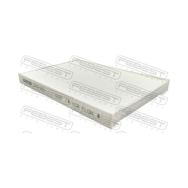 Filtras, salono oras FEBEST 1243-003