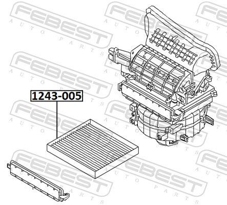 Filtras, salono oras FEBEST 1243-005