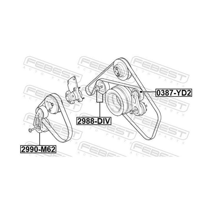 Diržo įtempiklis, V formos rumbuotas diržas FEBEST 2990-M62