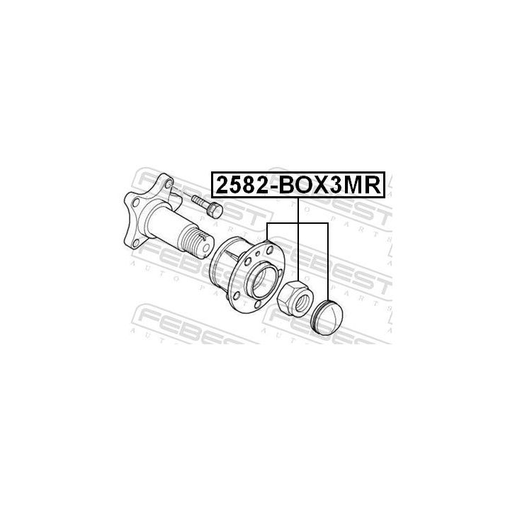 Rato stebulė FEBEST 2582-BOX3MR