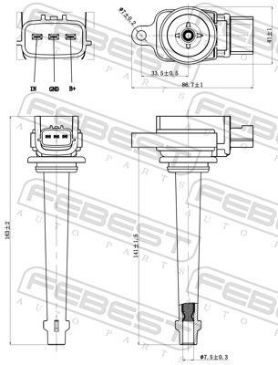 Ritė, uždegimas FEBEST 02640-004