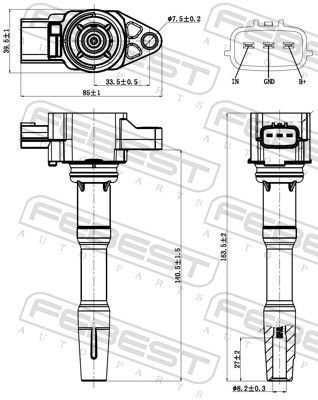 Ritė, uždegimas FEBEST 24640-003