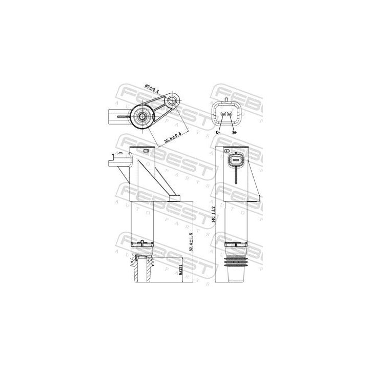 Ritė, uždegimas FEBEST 25640-002