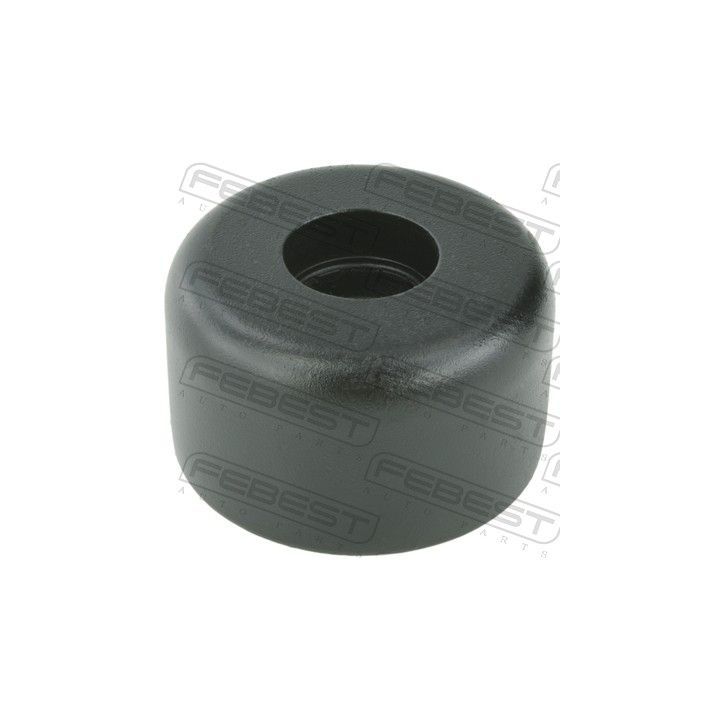 Pakabos statramsčio atraminis guolis FEBEST CDSS-CTSF