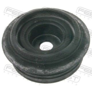 Pakabos statramsčio atraminis guolis FEBEST HYSS-ACR