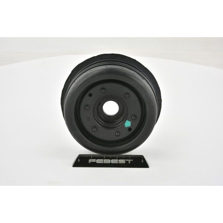 Pakabos statramsčio atraminis guolis FEBEST HYSS-ACR