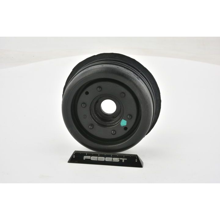 Pakabos statramsčio atraminis guolis FEBEST HYSS-ACR