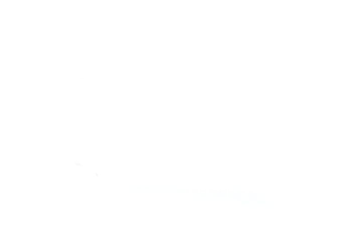 Atraminis buferis, pakaba FEBEST ND-021