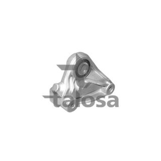 Variklio montavimas TALOSA 61-02597