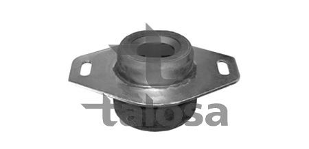 Variklio montavimas TALOSA 61-05134