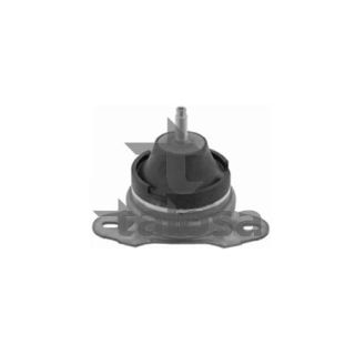 Variklio montavimas TALOSA 61-05145