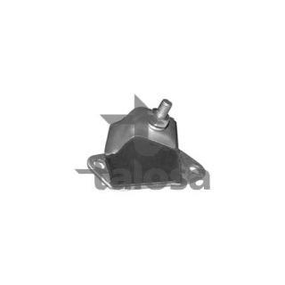 Variklio montavimas TALOSA 61-05161