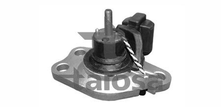 Variklio montavimas TALOSA 61-05166