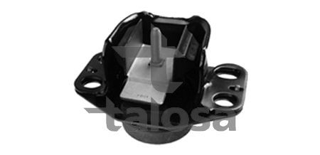 Variklio montavimas TALOSA 61-05168